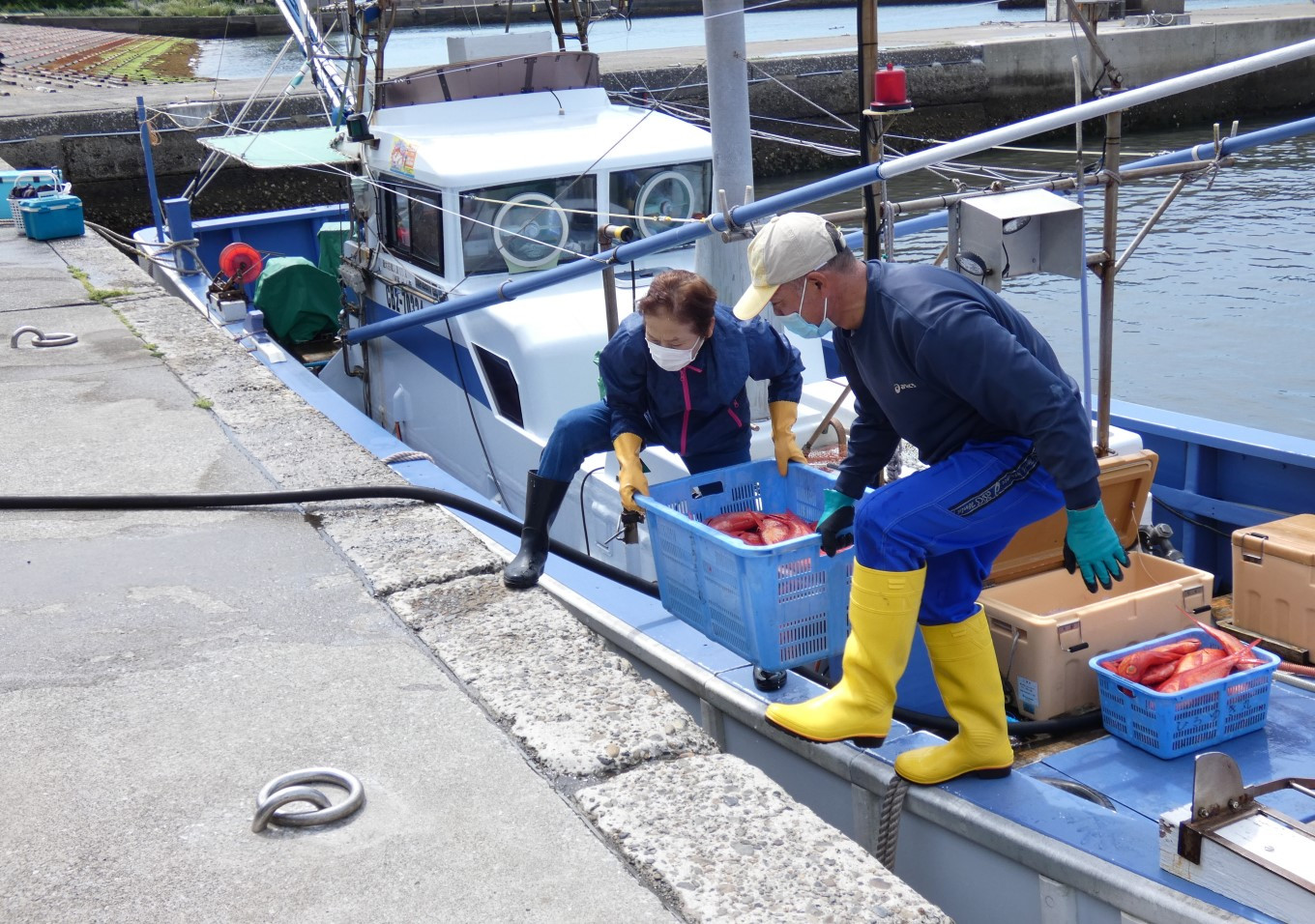 漁港では、続々と水揚げが行われています。（※７～９月は禁漁）