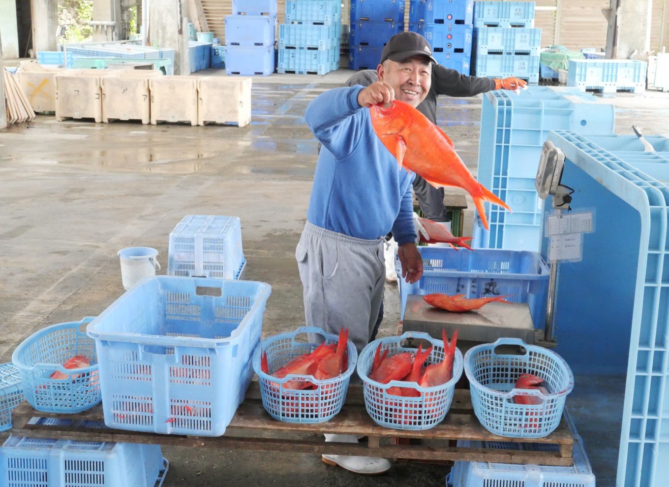 漁港では、続々と水揚げが行われています。（※７～９月は禁漁）