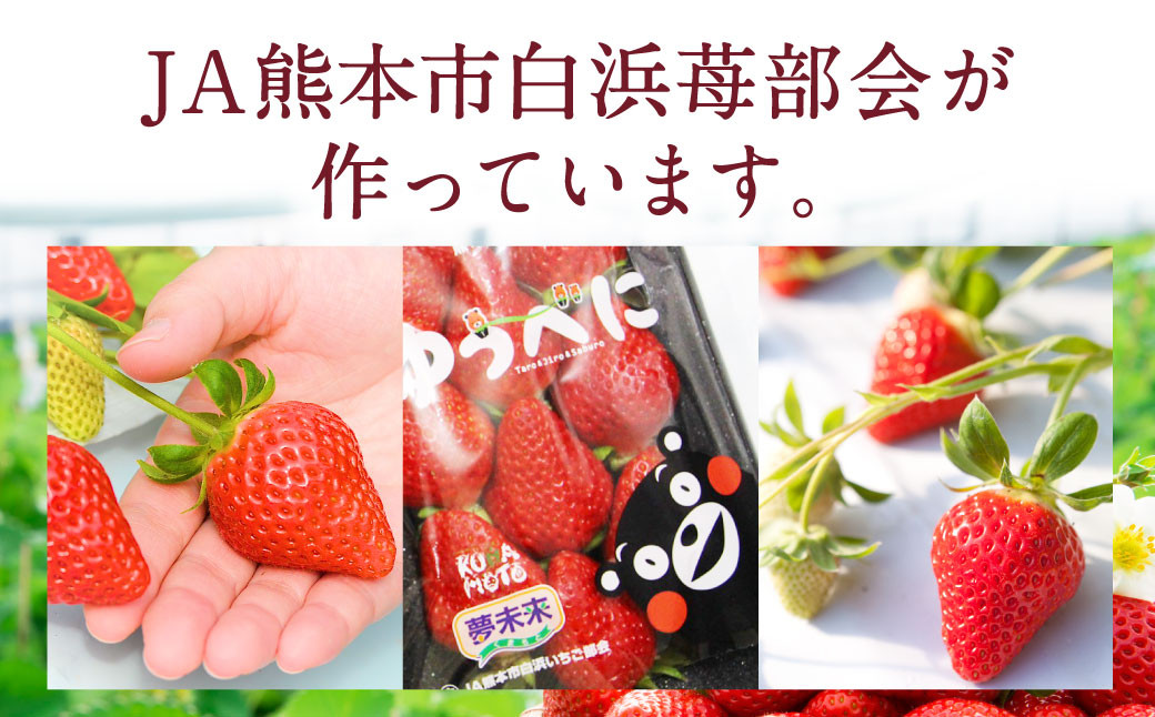 熊本産 ゆうべに 250g×10パック 計2.5kg