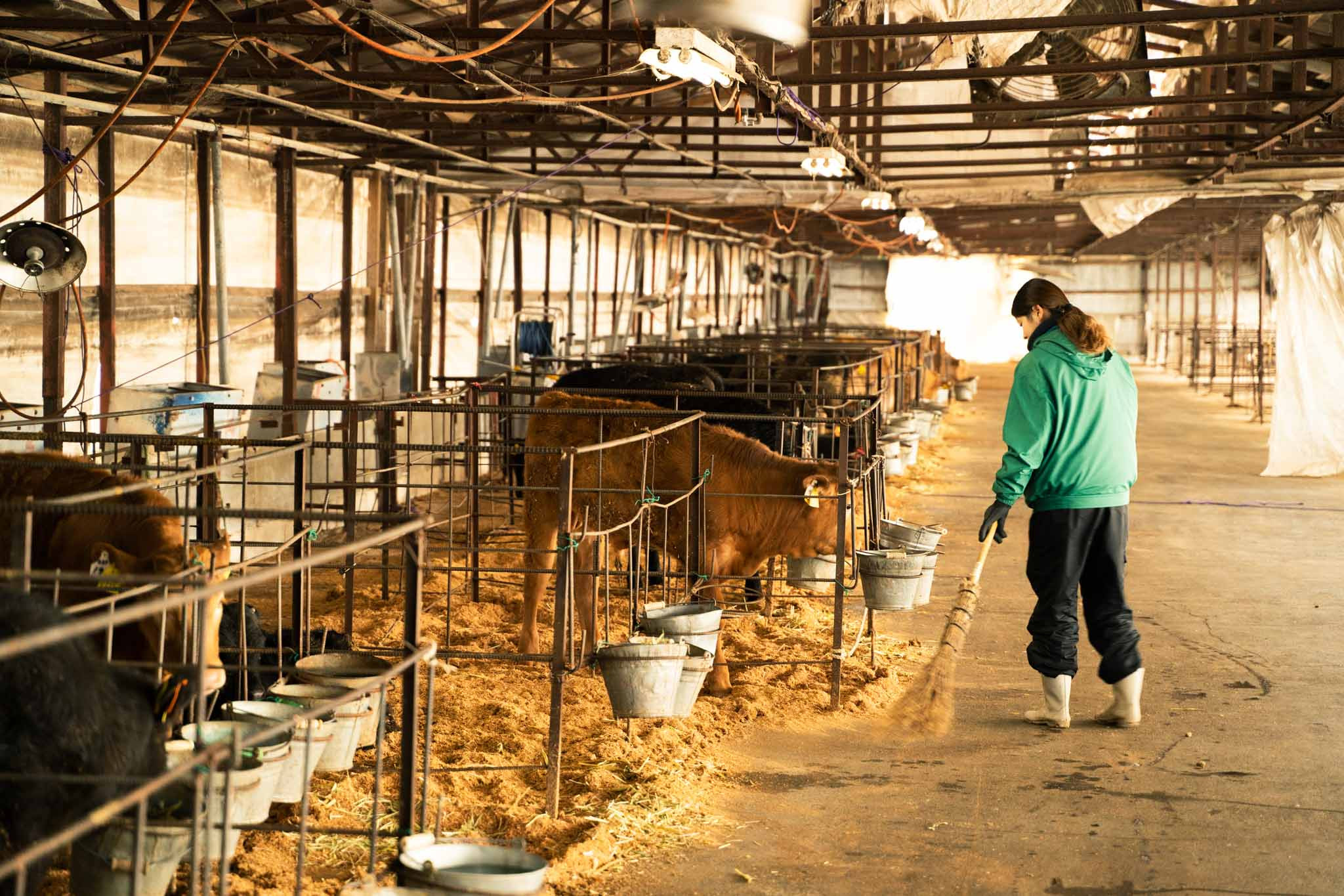 GI認証くまもと あか牛 すき焼き用 切り落し 600g 300g×2