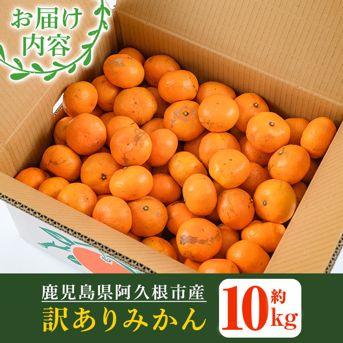 訳ありみかんお届け内容