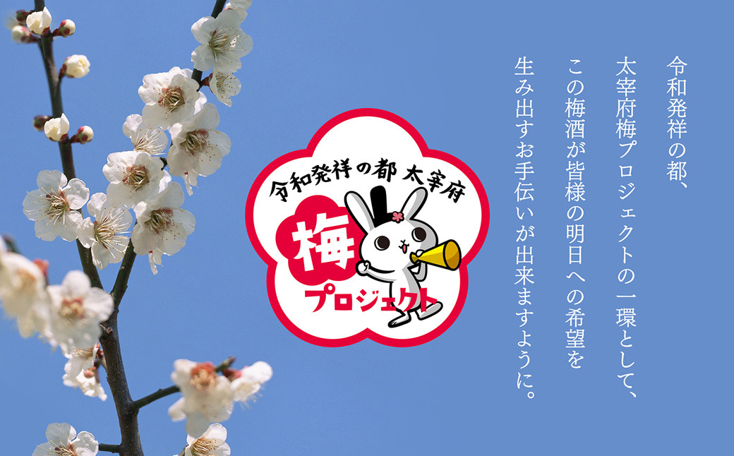 【数量限定／太宰府梅プロジェクト】 「令和」発祥の都 太宰府の梅使用 熟成プレミアム 梅酒 東風の梅