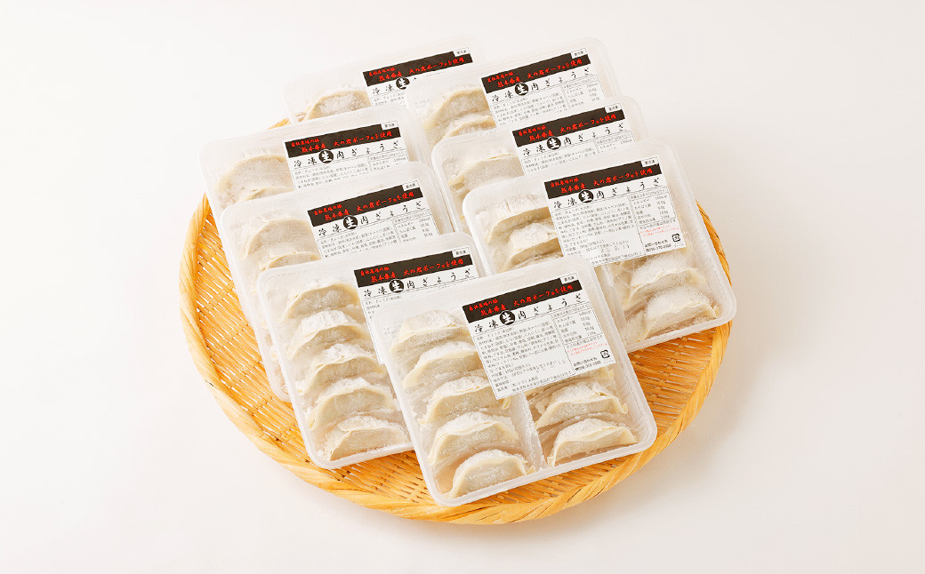 熊本県産 火の君ポーク 使用 生 肉ぎょうざ 10個入り×8パック(80個)