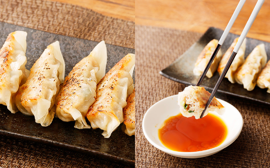 熊本県産 火の君ポーク 使用 生 肉ぎょうざ 10個入り×8パック(80個)