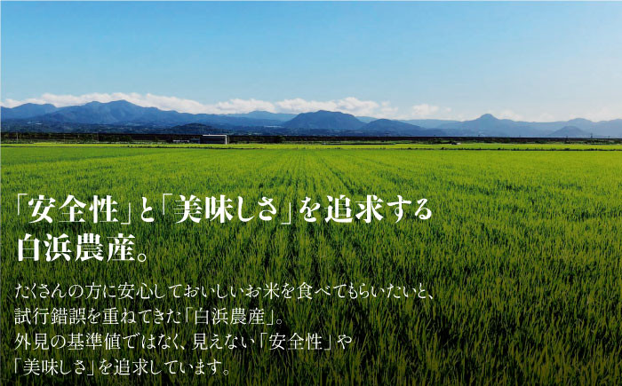 特別栽培米「さがびより」を使用！