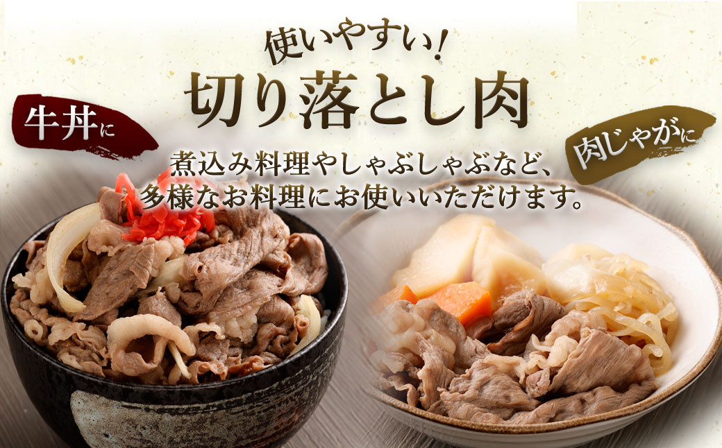 【数量限定 訳あり】【A4・A5】博多和牛 切り落とし 300g×4パック 合計1.2kg