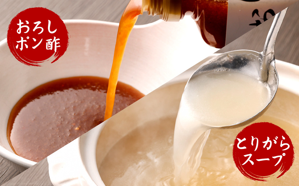 はかた一番どり 水炊き セット 彩 (とりがらスープ・おろしポン酢付き)