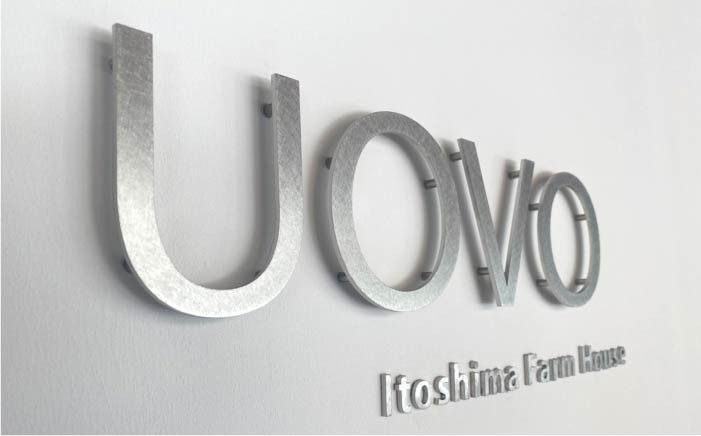 卵 たまご 玉子 平飼い 10個 セット 鶏卵 新鮮 米 卵かけご飯 醤油