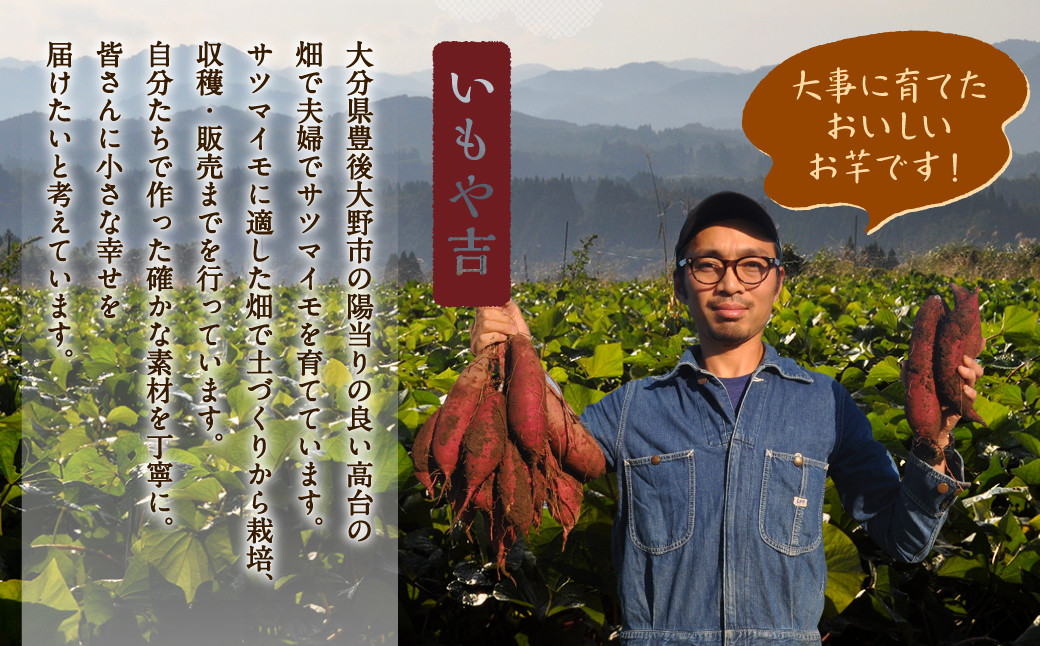 【ご自宅用】【訳あり】 紅はるか 5kg B品 甘藷 べにはるか