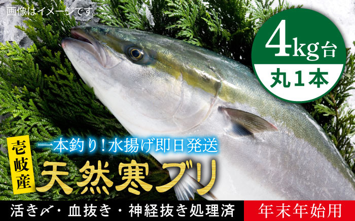 人気  おすすめ オススメ 天然ぶり 天然ブリ 天然鰤 しゃぶしゃぶ ぶりしゃぶ