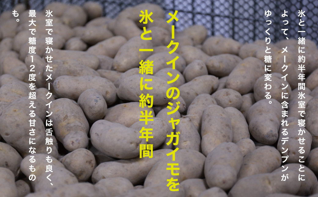 じゃがいも ジャガイモ 芋 メークイン 野菜