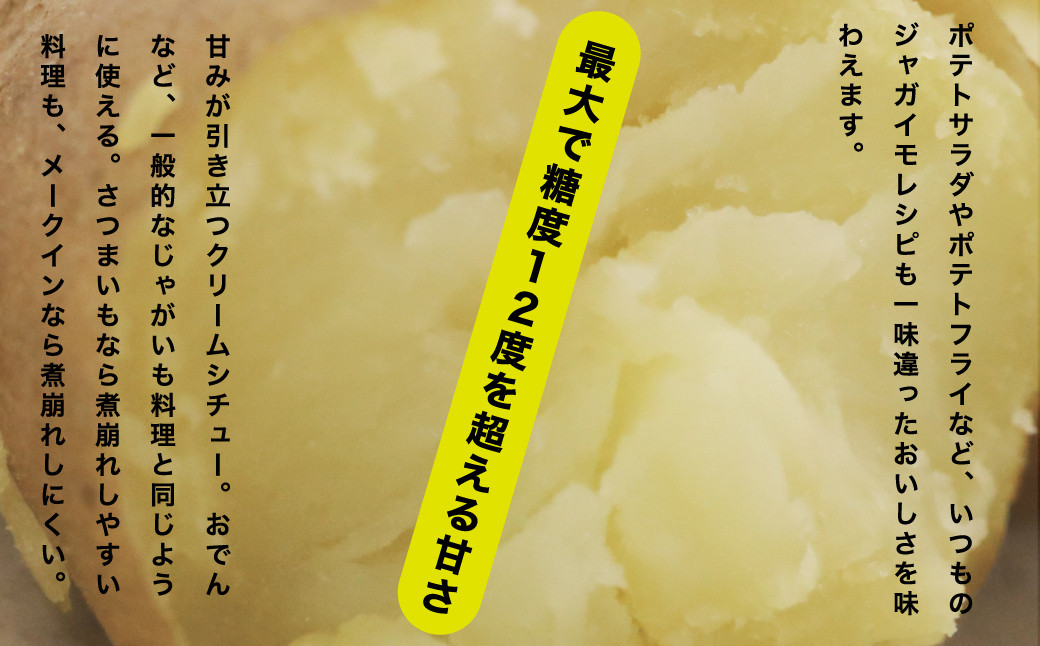 じゃがいも ジャガイモ 芋 メークイン 野菜