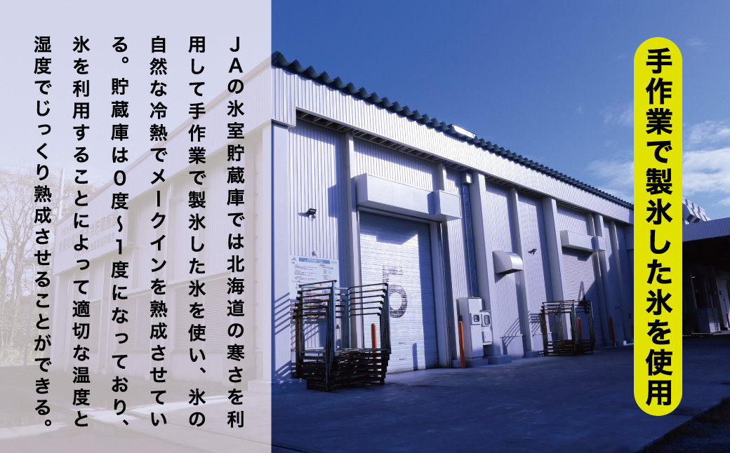 じゃがいも ジャガイモ 芋 メークイン 野菜