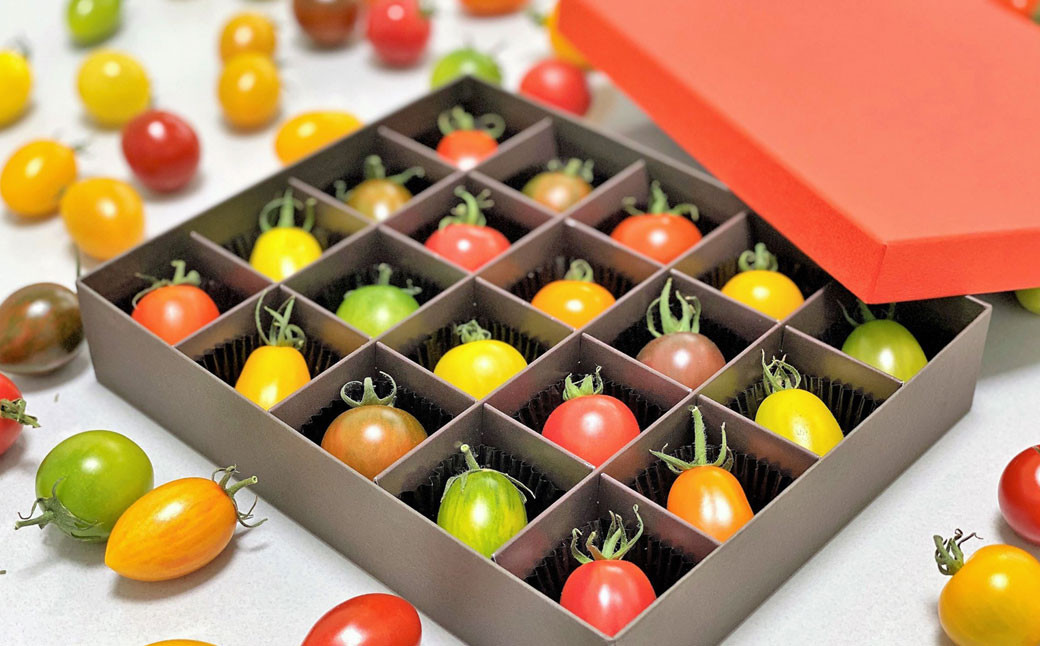 20色 カラフル ミニトマト 20粒 トマト 完熟