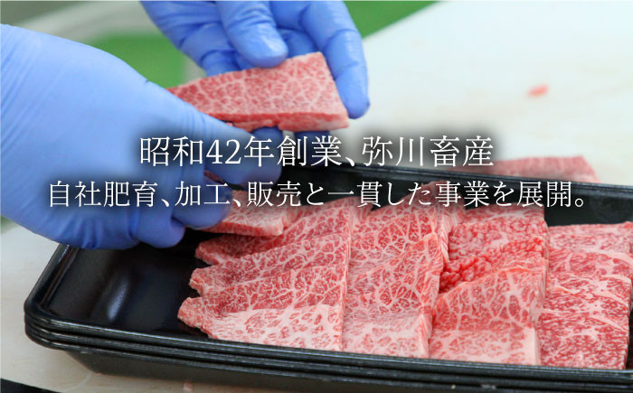 【美しい霜ふり肉をご自宅で】佐賀牛 厚切りサーロインステーキ 280g【Trade com 8】 [HBO003]