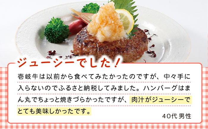 ハンバーグ ステーキ 人気 和牛  壱岐牛 希少 柔らかい やわらかい 贈り物