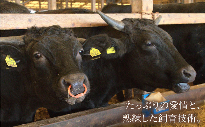 【美しい霜ふり肉をご自宅で】佐賀牛 厚切りサーロインステーキ 280g【Trade com 8】 [HBO003]