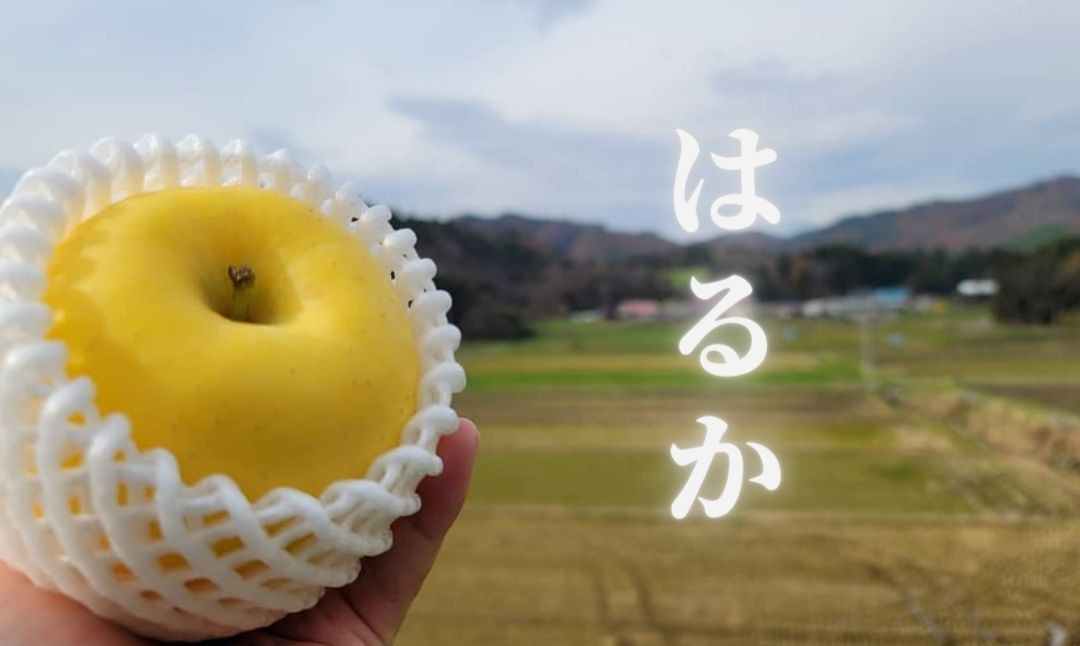 岩手県で生まれた黄色いリンゴ