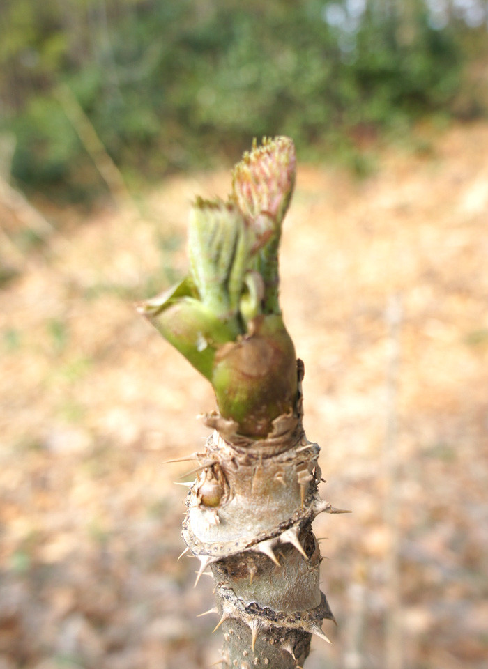 ※画像はイメージです。