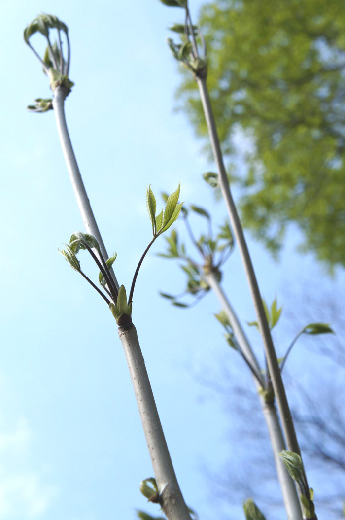 ※画像はイメージです。