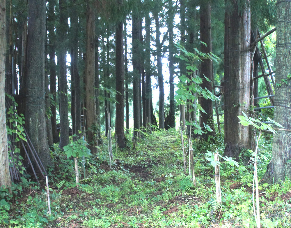 ※画像はイメージです。