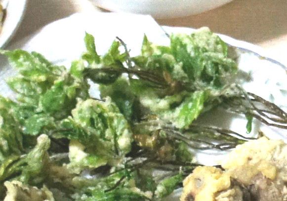 ※画像はイメージです。