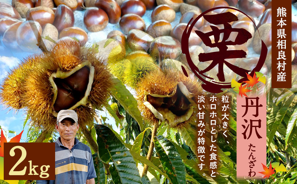 相良村産 栗 丹沢 2kg 