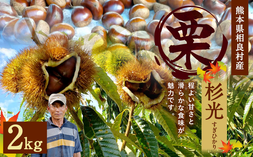 相良村産 栗 杉光 2kg