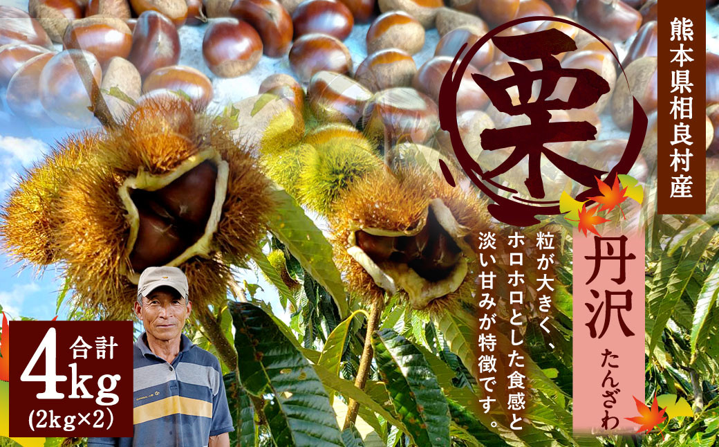 相良村産 栗 丹沢 4kg