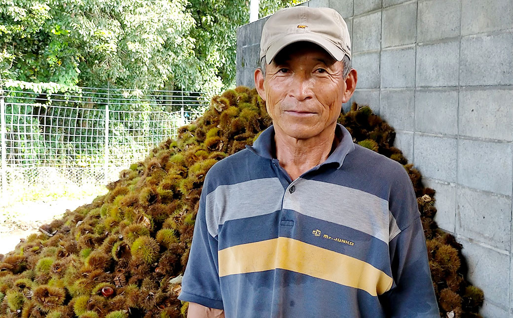 相良村産 栗 丹沢 2kg 