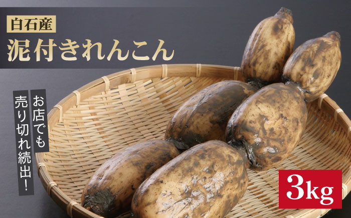 全国屈指の名産地・白石町から高品質れんこんをお届け!