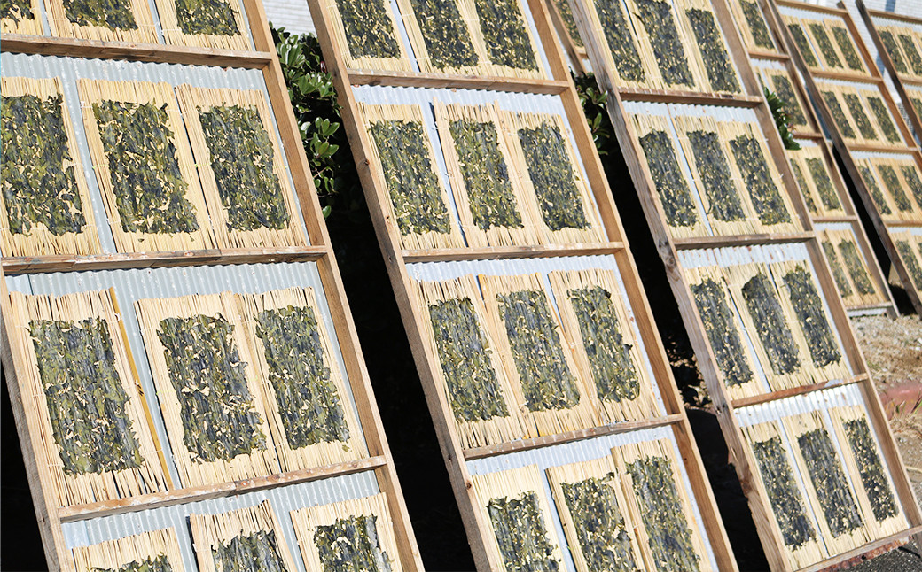 ”いせた”はばのりは、天日で干しあげます。乾いてくるとパチパチという小さな音があちこちから聞こえます。