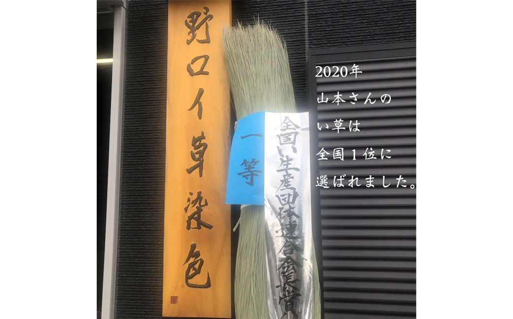 い草 ラグ 191cm×250cm  ベルサイユ ふっくら仕上げ (ライトブラウン/グリーン) ラグマット 選べる2色