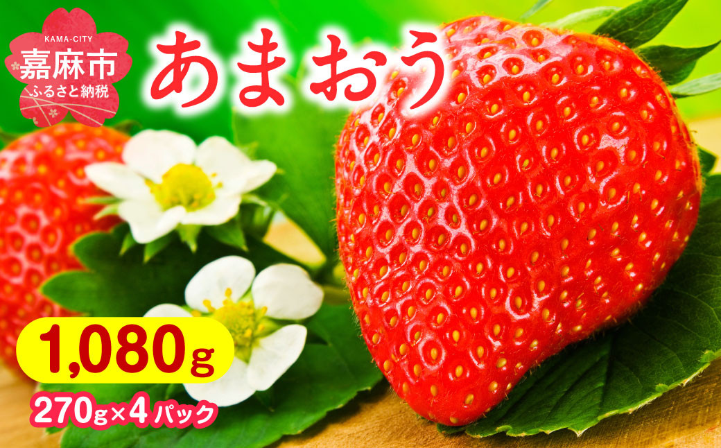 福岡県産 あまおう 270g×4パック 合計1080g いちご ブランド