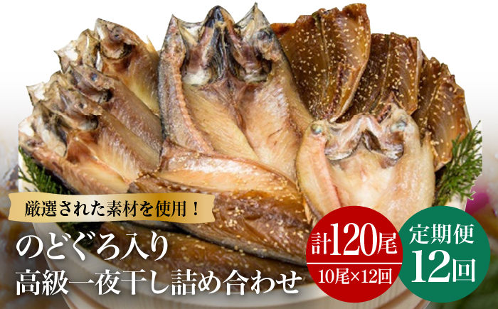 干物 ひもの 乾物 セット 高級魚 あじ さば 一夜干し 詰め合わせ 朝食 おかず おつまみ 定期 定期便