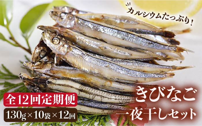 きびなご キビナゴ 魚 干物 一夜干し おつまみ ご飯のお供 ギフト 贈答 海鮮