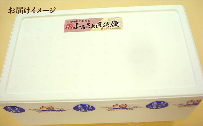 きびなご キビナゴ 魚 干物 一夜干し おつまみ ご飯のお供 ギフト 贈答 海鮮
