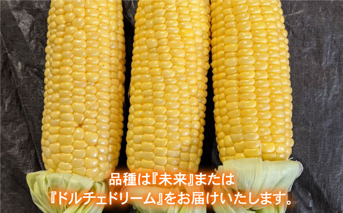 数量限定！甘～いとうもろこし