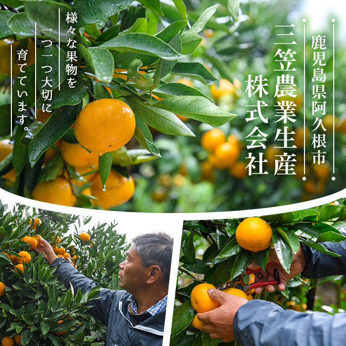 三笠農業生産