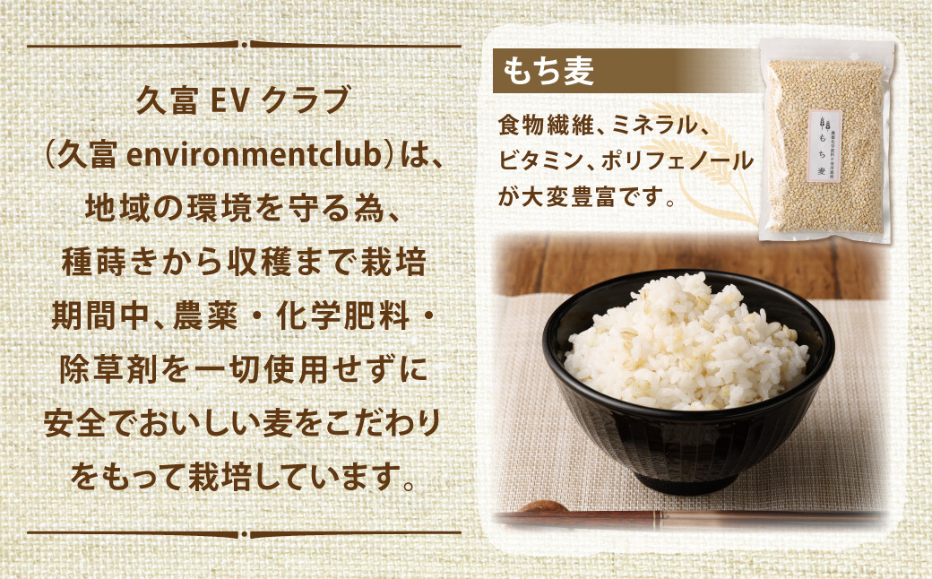 もち麦・押麦・丸麦(みそ麦) セット 各1kg×3個 ( 合計3kg )