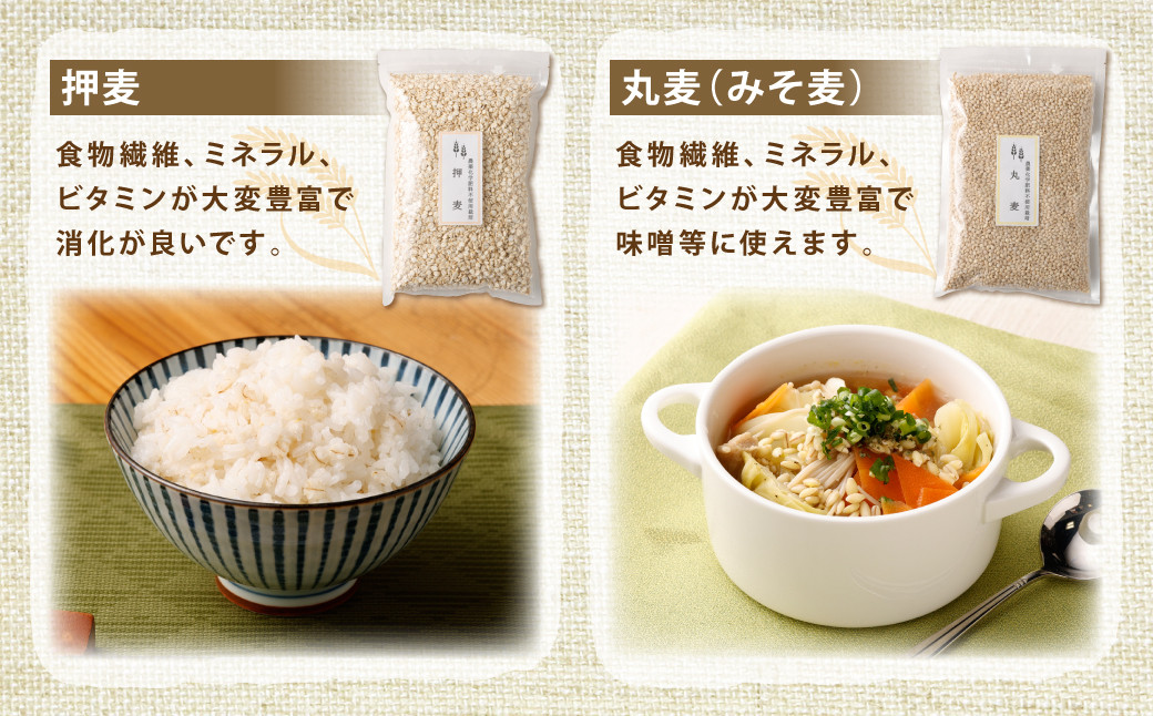 もち麦・押麦・丸麦(みそ麦) セット 各1kg×3個 ( 合計3kg )