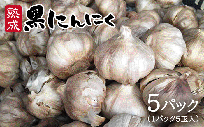 黒 ニンニク にんにく 大蒜 熟成 健康
