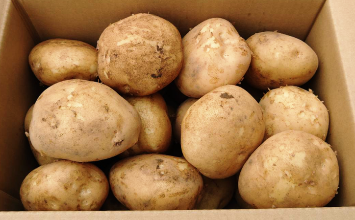 この1箱で、１０ｋｇになります。