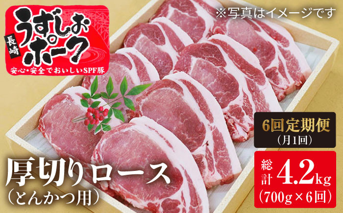 長崎うずしおポーク ロース(とんかつ用)計4.2kg 訳あり