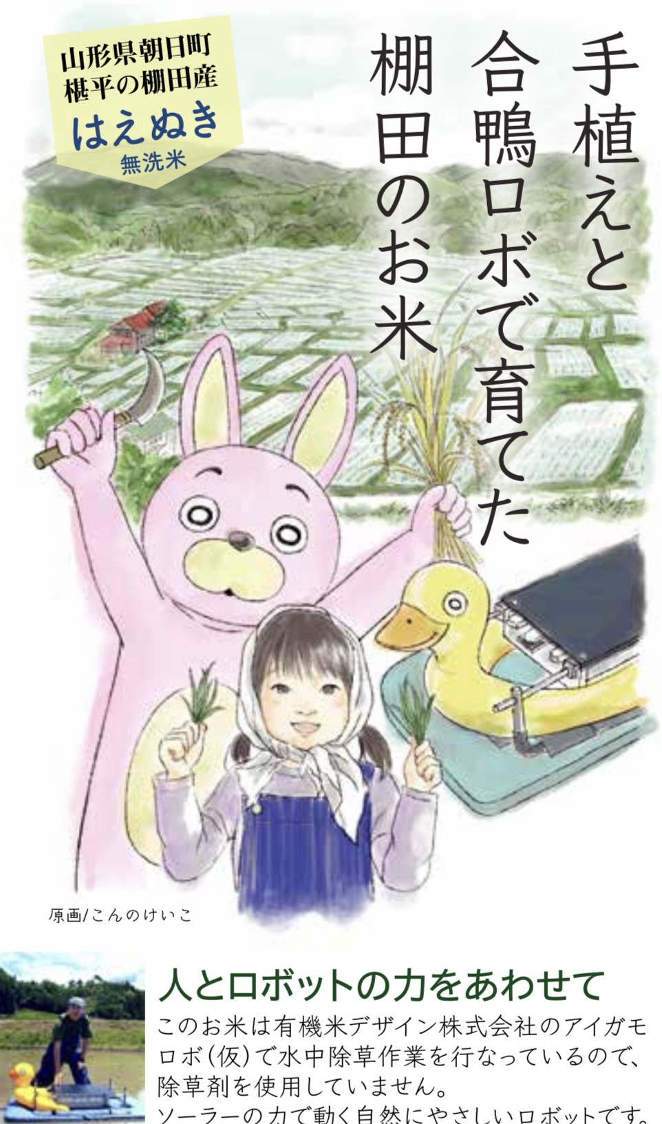 こんのけいこさん原画のパッケージ