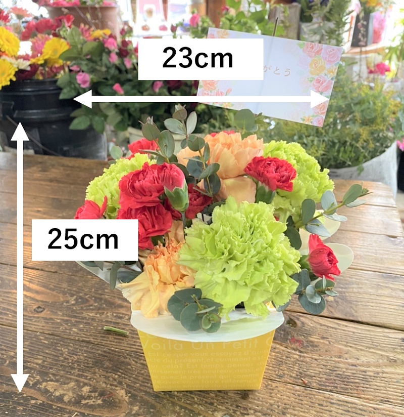 ボックスの色味は実際にお届けするものと異なります。お色はランダムにお届けいたします。