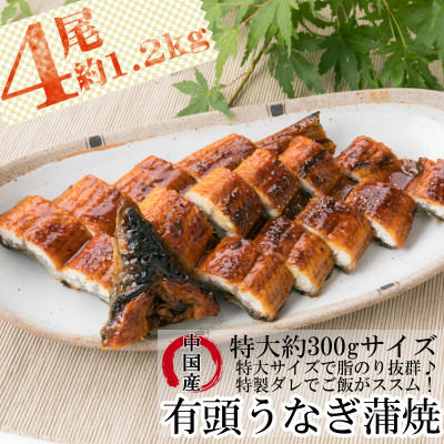 うなぎ蒲焼有頭中国産