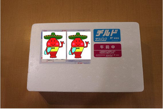 発砲スチロールでの発送になります。