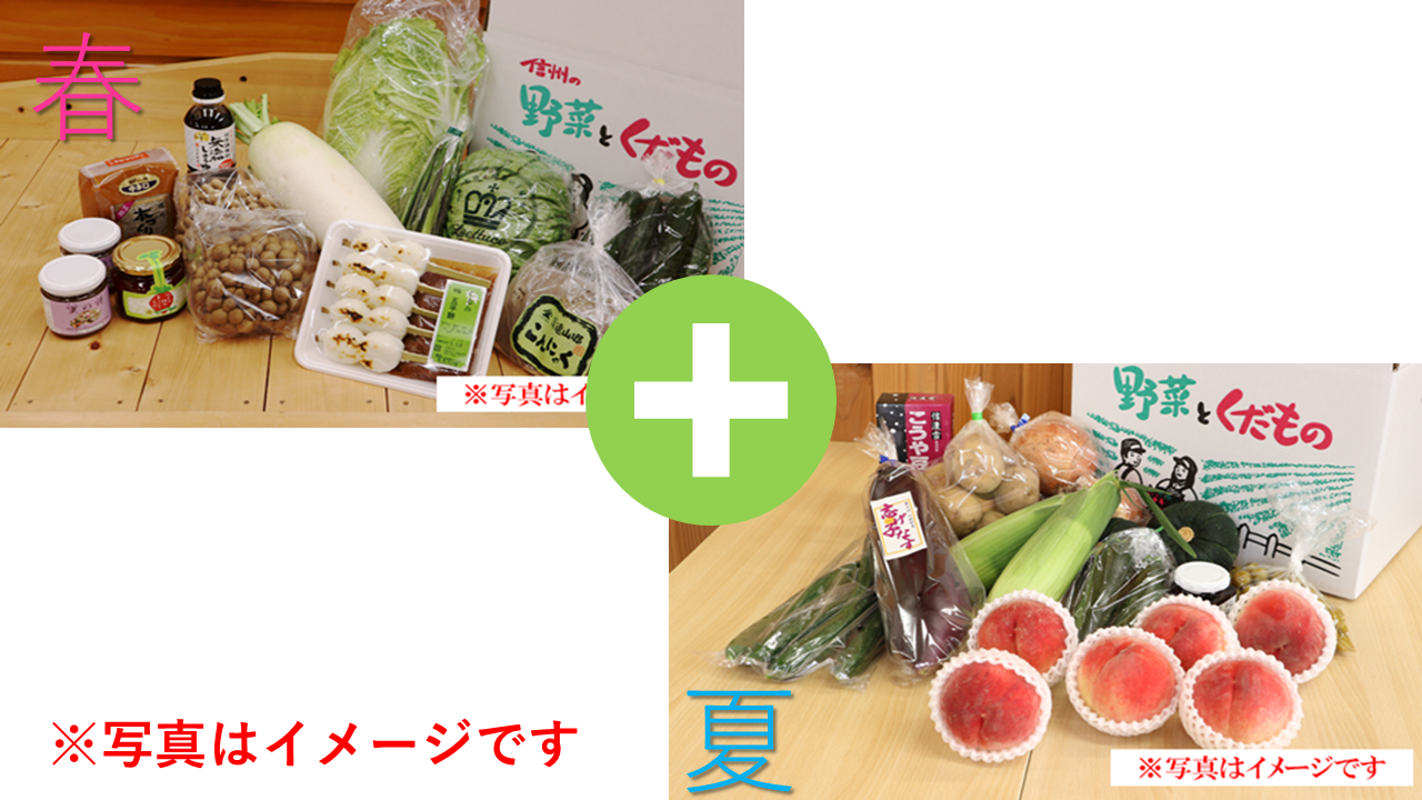 ※画像はイメージです。内容は一部変更となる場合がございます。