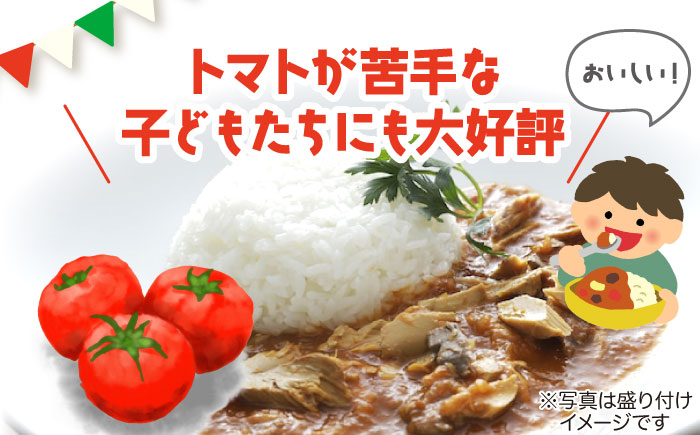 カレーレトルト 詰め合わせ 魚 さかな トマト サバ 保存食 常温保存 惣菜